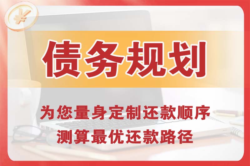 崇文债务规划